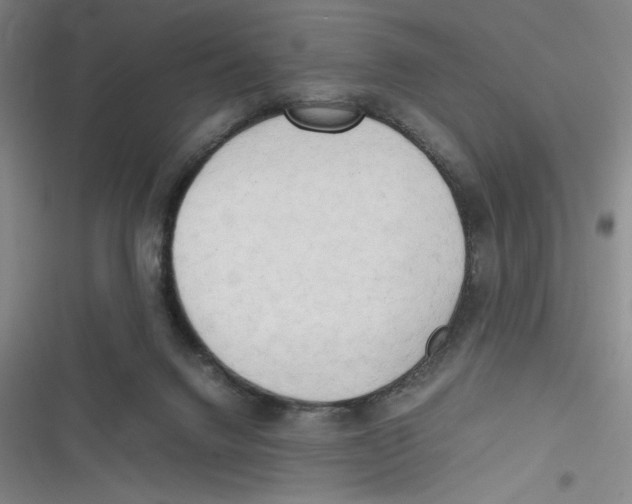 X0000116660072201001111259