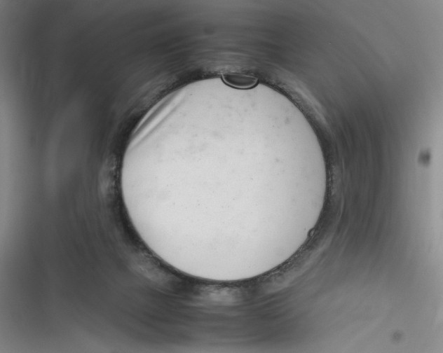 X0000116660073201001111259