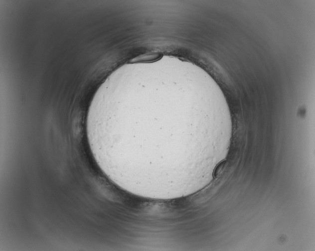X0000116660074201001111259
