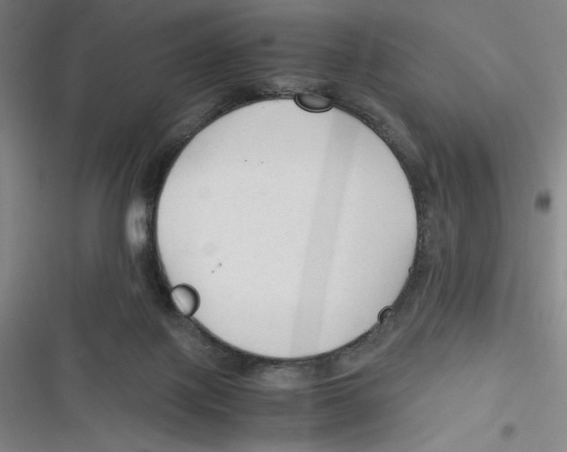 X0000116660075201001111259