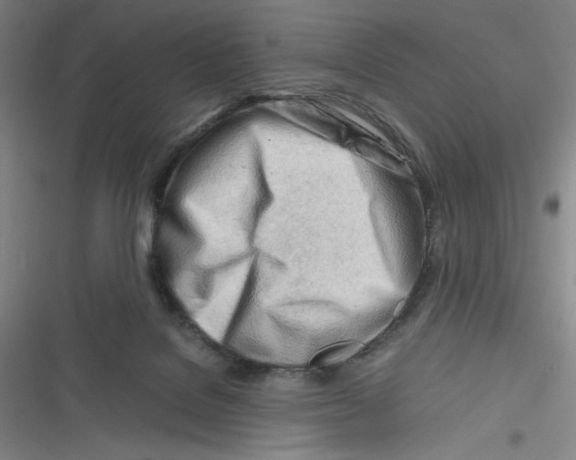 X0000116660076201001111259