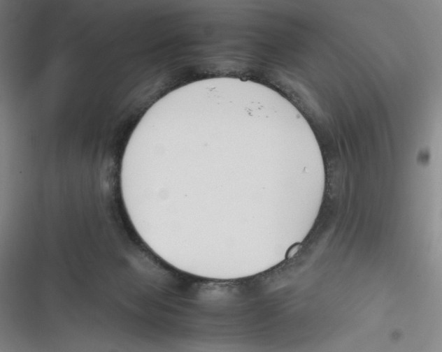 X0000116660077201001111259