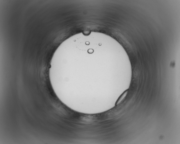 X0000116660079201001111259