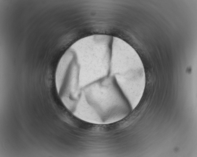 X0000116660080201001111259