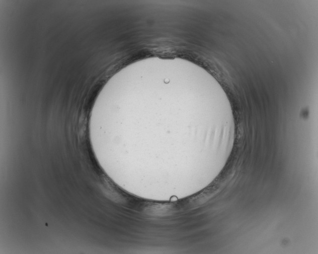 X0000116660081201001111259