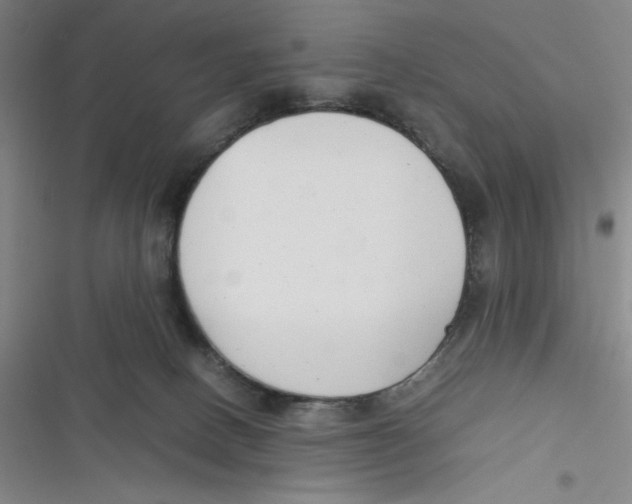 X0000116660082201001111259