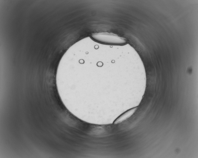 X0000116660083201001111259