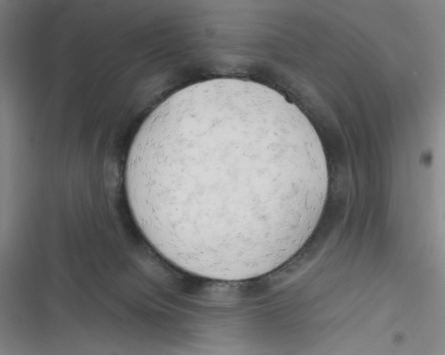 X0000116660084201001111259