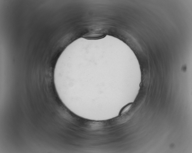 X0000116660085201001111259