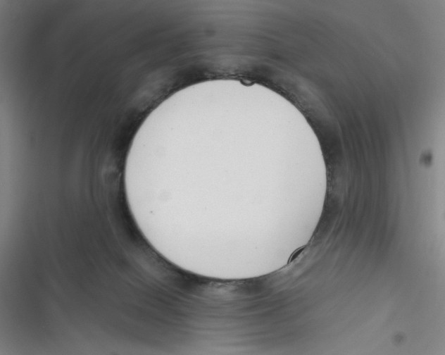 X0000116660086201001111259