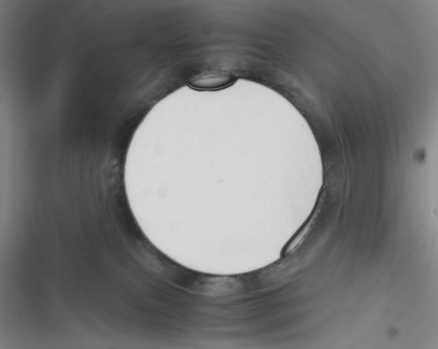 X0000116660087201001111259
