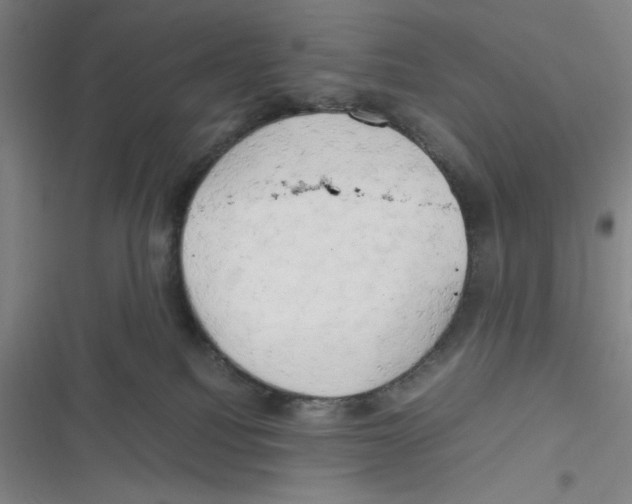 X0000116660088201001111259
