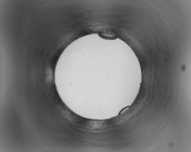 X0000116660089201001111259
