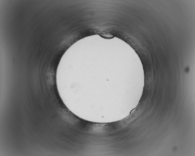X0000116660090201001111259