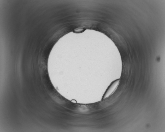 X0000116660091201001111259