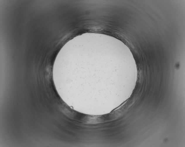 X0000116660093201001111259