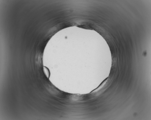 X0000116660094201001111259