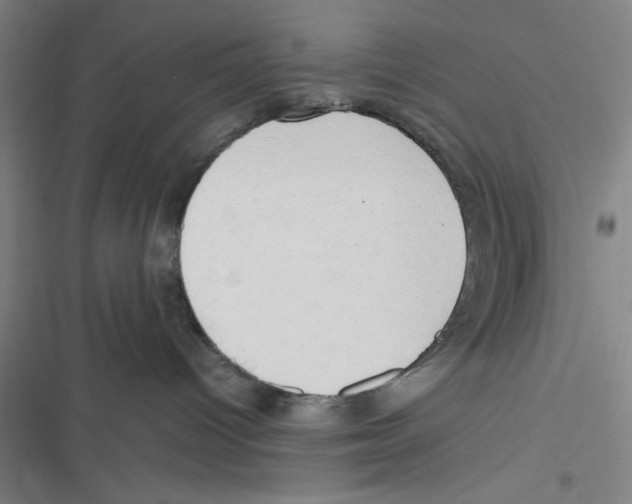 X0000116660096201001111259