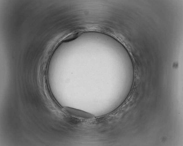 X0000116660097201001111258