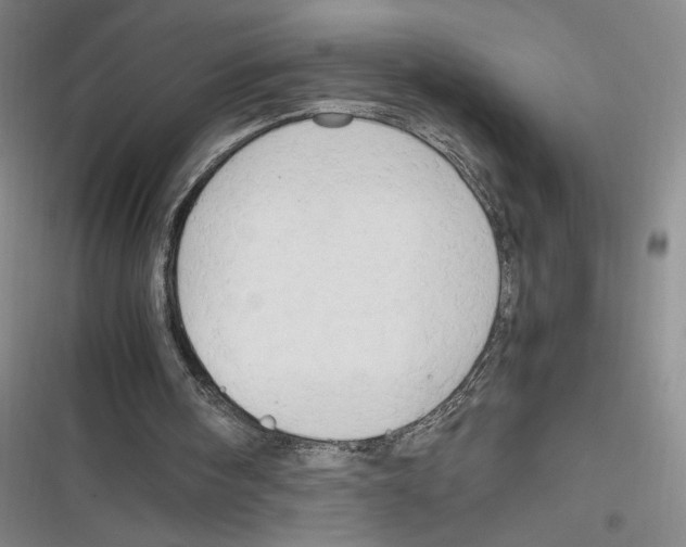 X0000116660098201001111258