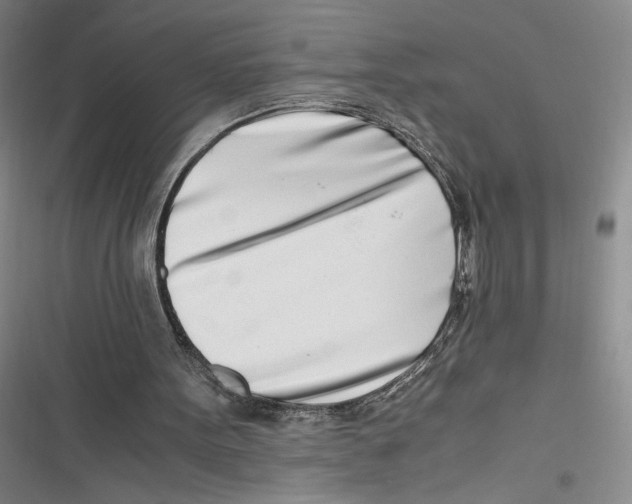 X0000116660099201001111258