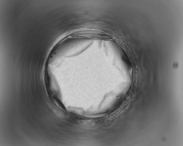 X0000116660100201001111258
