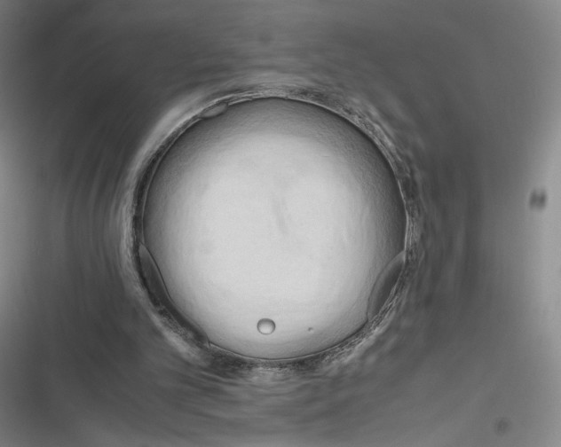 X0000116660101201001111258