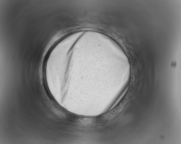 X0000116660102201001111258