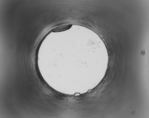 X0000116660103201001111258