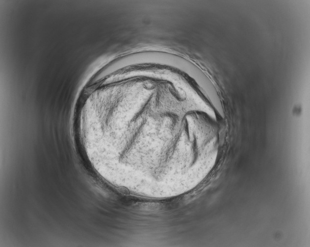 X0000116660104201001111258