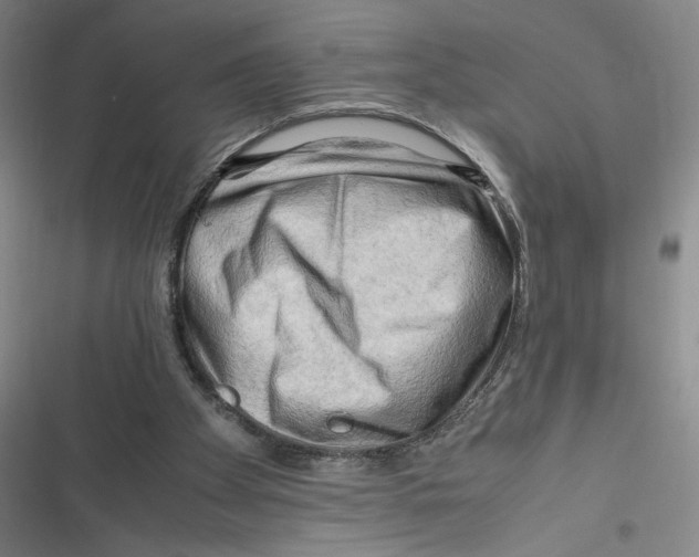 X0000116660105201001111258