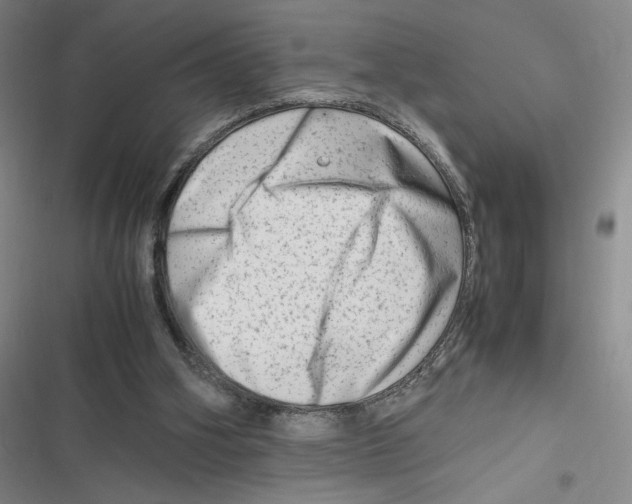 X0000116660106201001111258