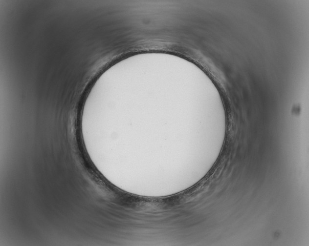 X0000116660107201001111258
