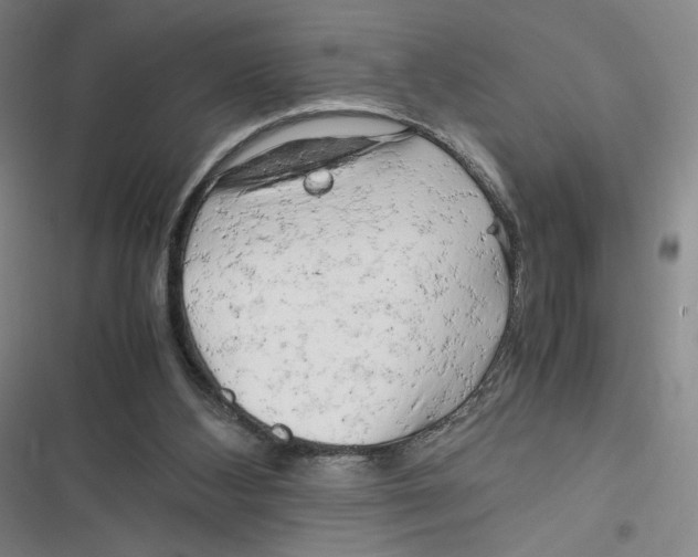 X0000116660108201001111258