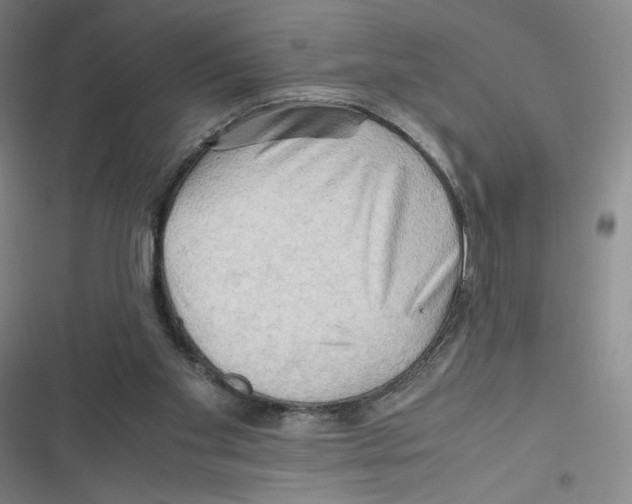 X0000116660109201001111258