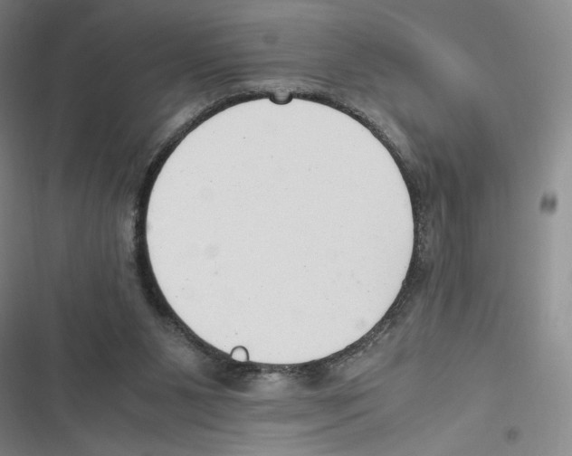 X0000116660111201001111258