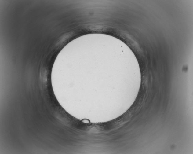 X0000116660115201001111258