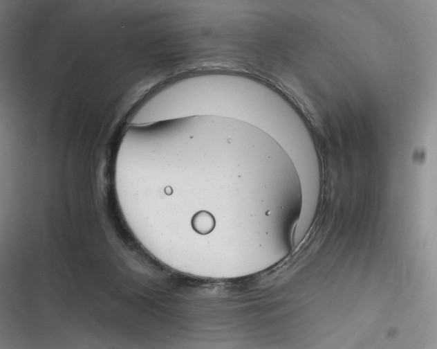 X0000116660116201001111258