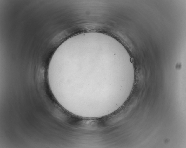 X0000116660117201001111258