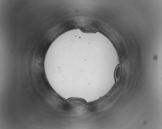 X0000116660121201001111258