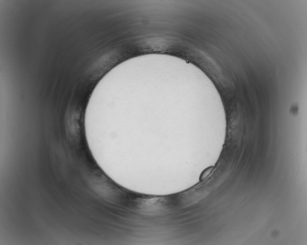 X0000116660122201001111258
