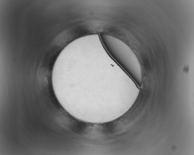 X0000116660125201001111258