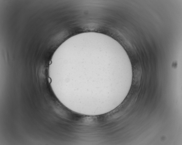 X0000116660126201001111258