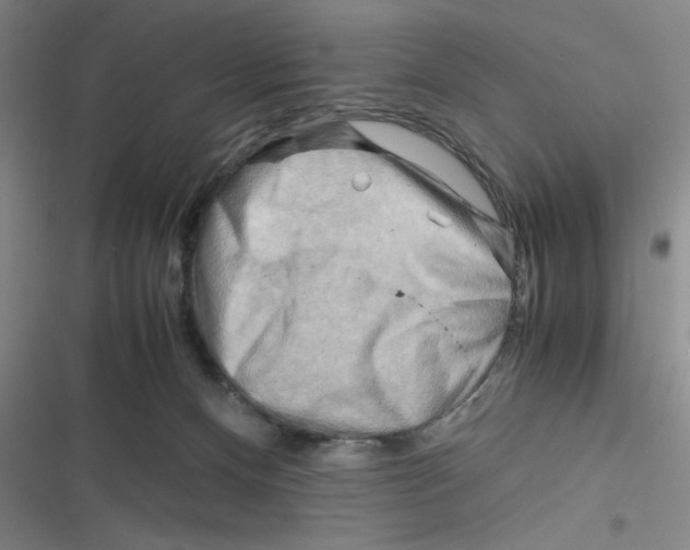 X0000116660128201001111258
