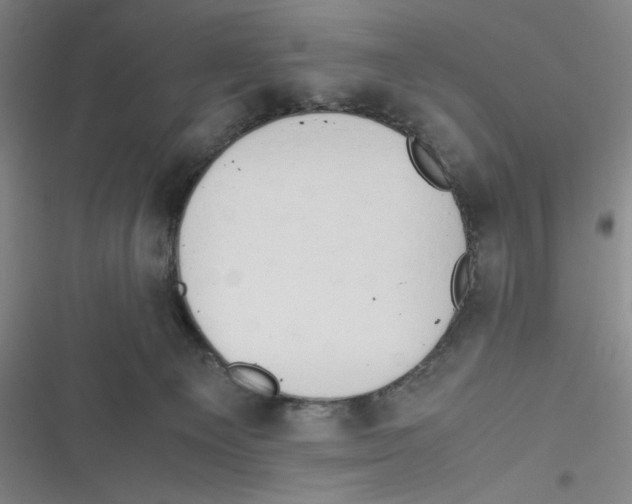 X0000116660129201001111258