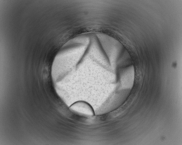 X0000116660130201001111258