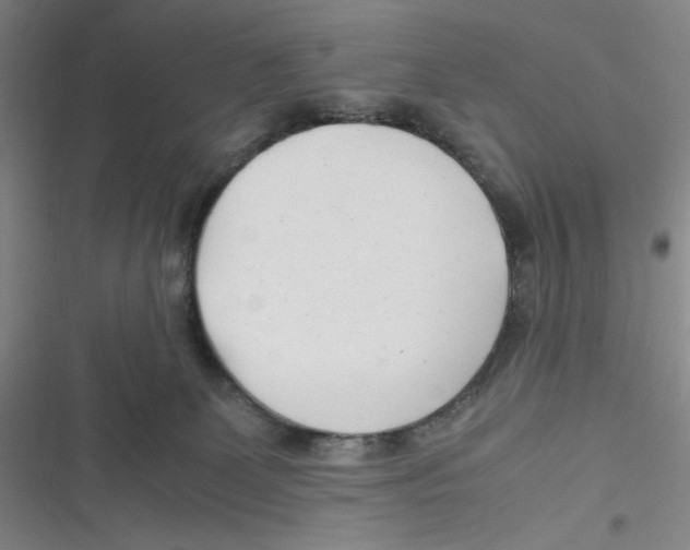 X0000116660131201001111258