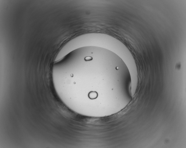 X0000116660132201001111258