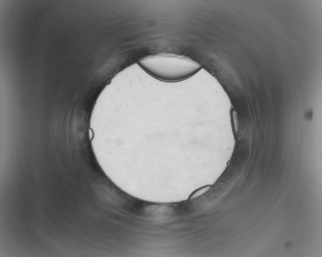 X0000116660133201001111258