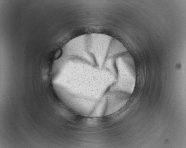 X0000116660134201001111258